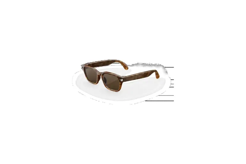Meta Adventurer – Classic Tortoise / Brown (Meta Adventurer Classic Tortoise / Brown)