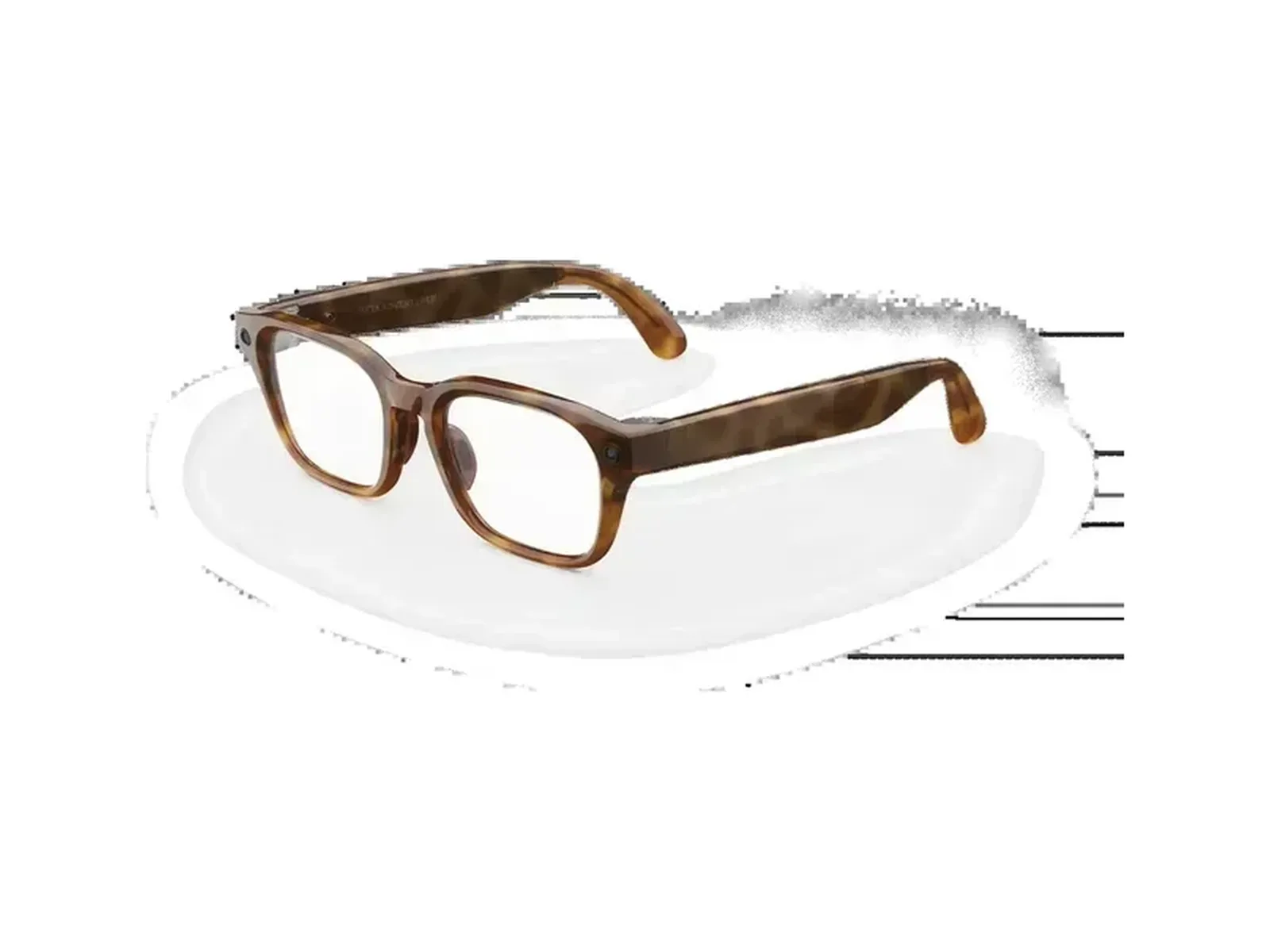 Classic Tortoise / Clear